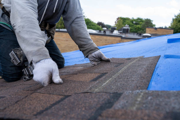 Best Emergency Roof Repair  in St Clair Shores, MI